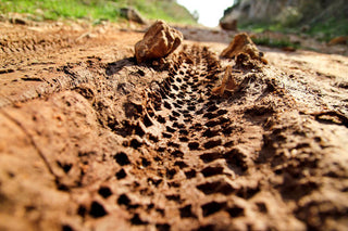 Dirt